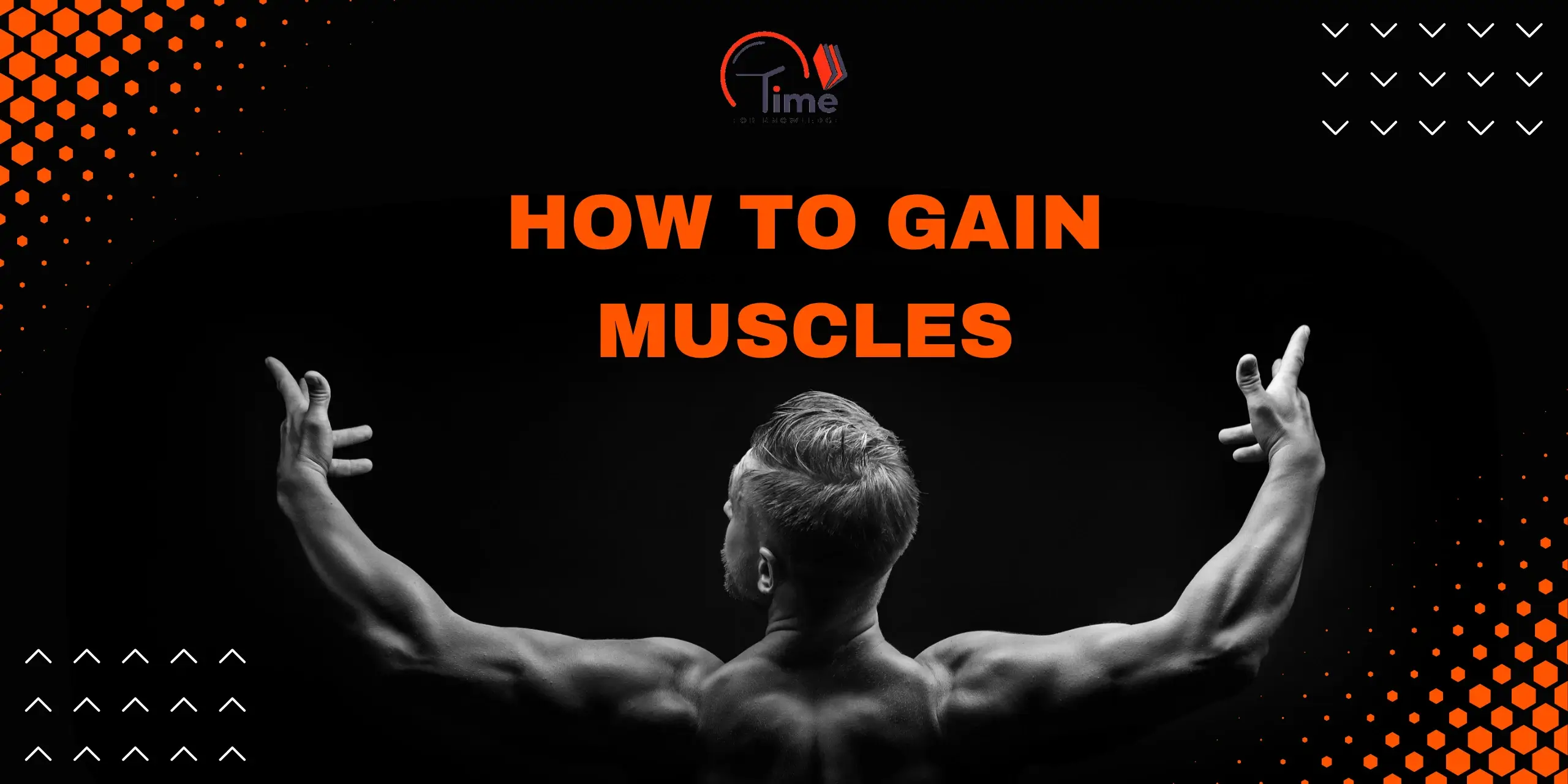 How to Gain Muscles