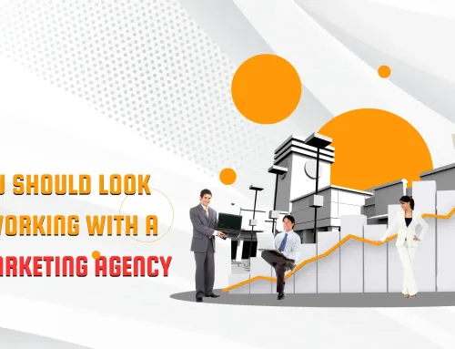 Things You Should Look at When Working With a Digital Marketing Agency