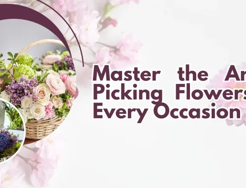 Garden of Emotions: Master the Art of Picking Flowers for Every Occasion