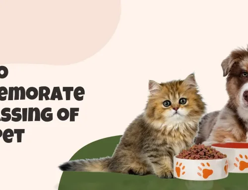 How to Commemorate the Passing of Your Pet